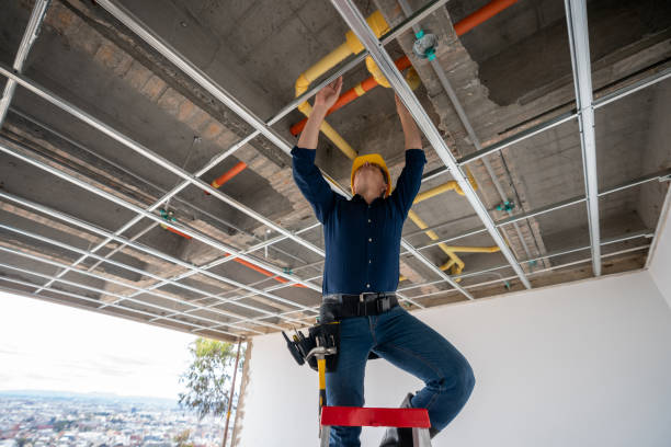 Best Best Plumbers Near Me  in Hanover, MN