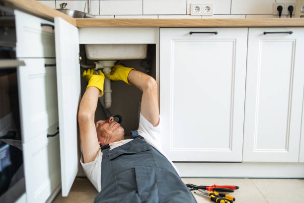 Best Commercial Plumbing Services  in Hanover, MN