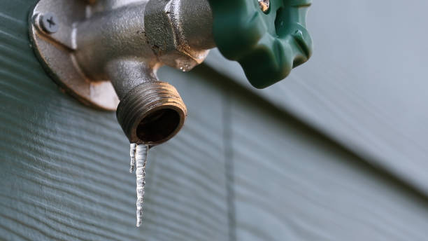 Best Leak Detection Services  in Hanover, MN